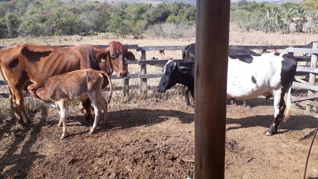 Pousada Estancia Macaubas - São Roque de Minas Dış mekan fotoğraf